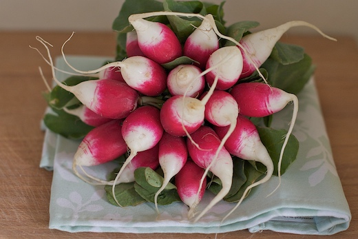 radishes