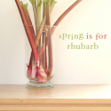Thumbnail image for Is rhubarb good for you?