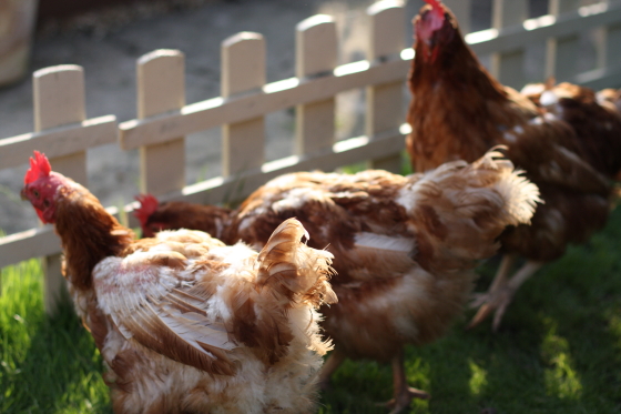 Post image for A thought provoking blog to follow, but not for long